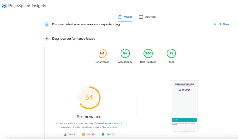 Sample PageSpeed Insights Result