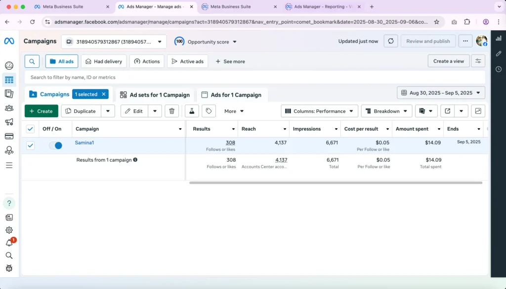 Saminaz Delight Total Results